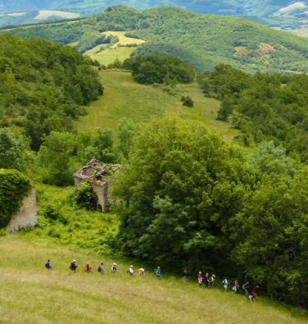 Randonnée avec guide