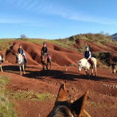 Balade à cheval